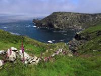 Panoramablick zur Bucht vor Bossiney Head nahe Tintagel